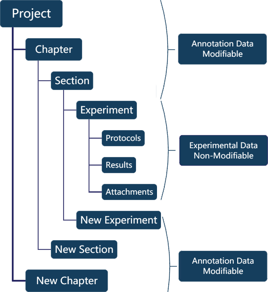 Project Structure